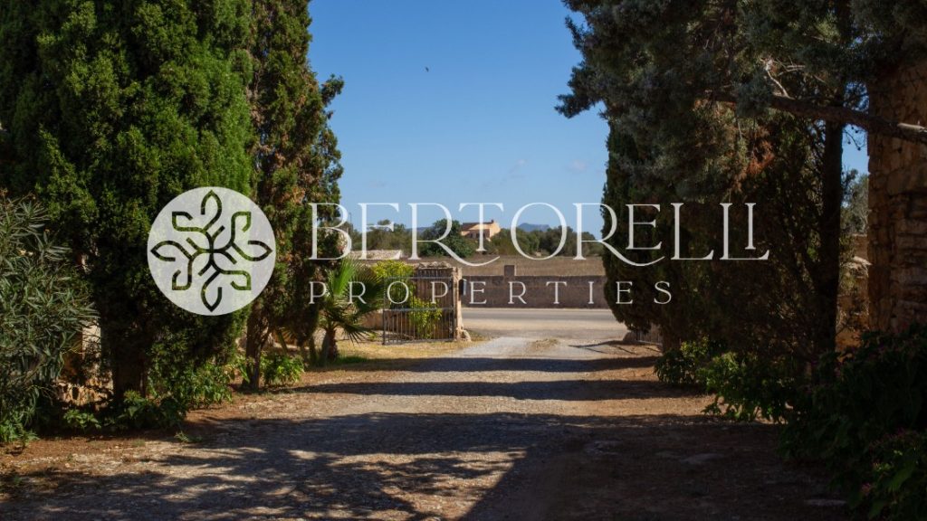 Bertorelli Properties in Mallorca