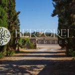 Bertorelli Properties in Mallorca