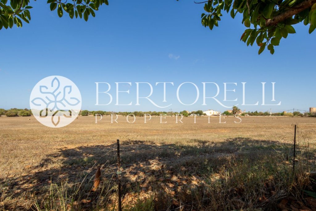 Bertorelli Properties in Mallorca