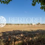 Bertorelli Properties in Mallorca