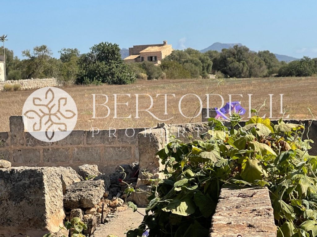 Bertorelli Properties in Mallorca