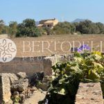 Bertorelli Properties in Mallorca