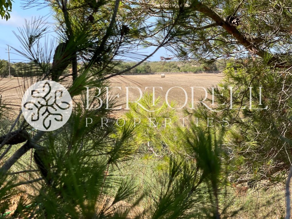 Bertorelli Properties in Mallorca