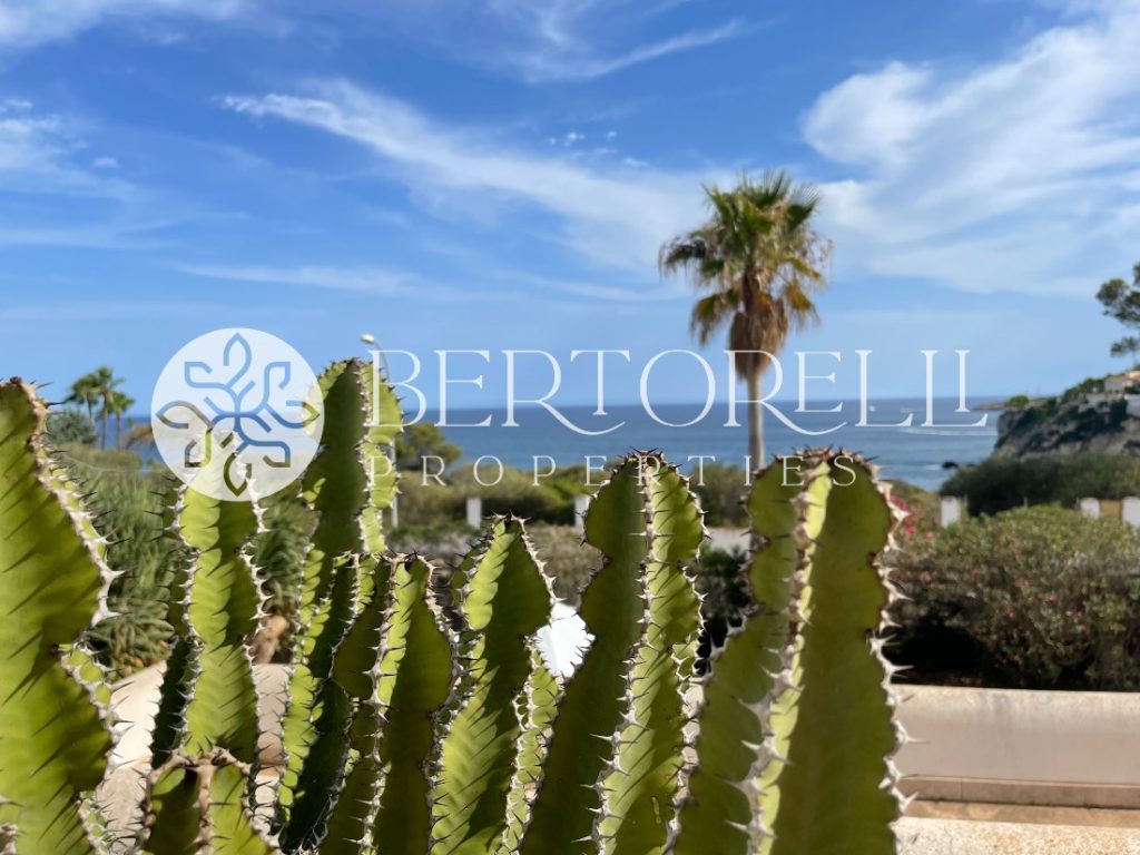 Bertorelli Properties in Mallorca