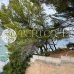 Bertorelli Properties in Mallorca