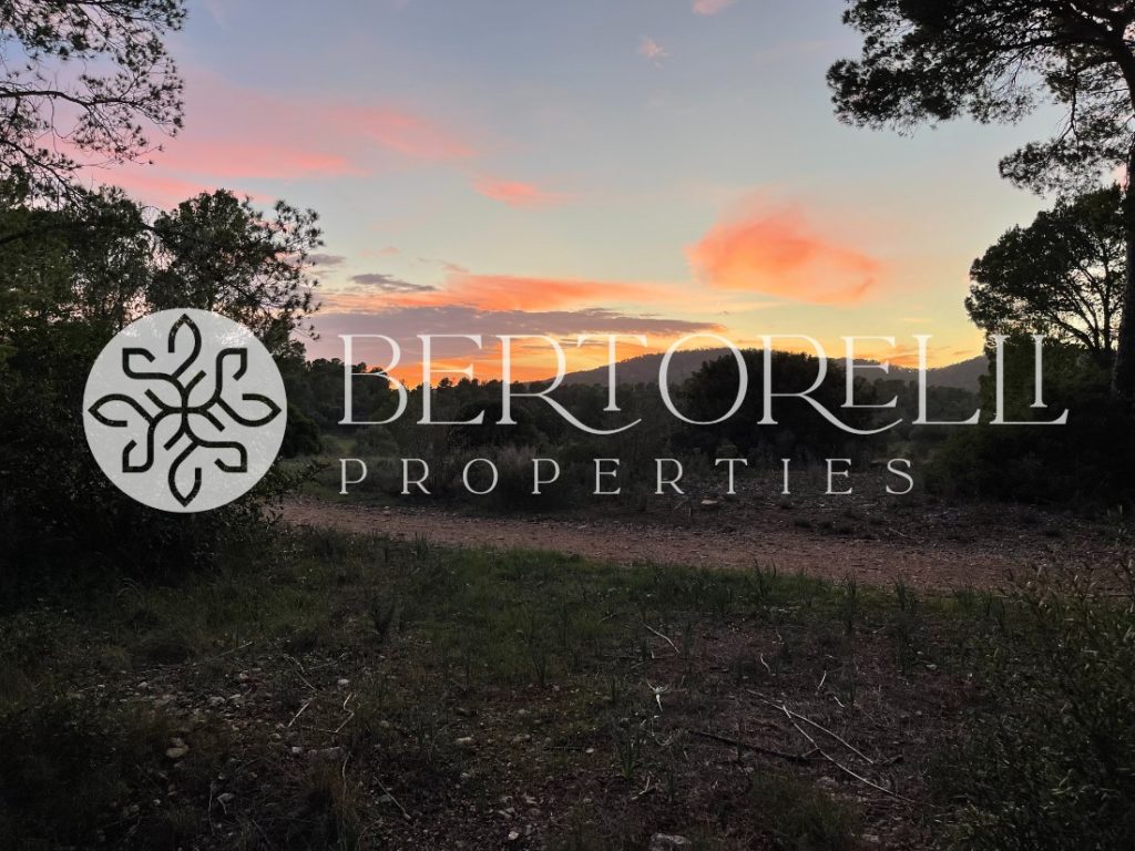 Bertorelli Properties in Mallorca