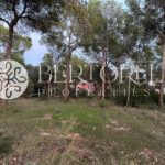 Bertorelli Properties in Mallorca