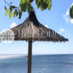 Bertorelli Properties in Mallorca