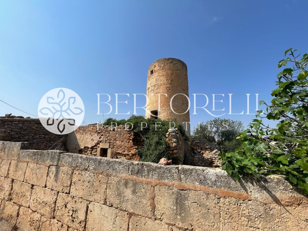 Bertorelli Properties in Mallorca