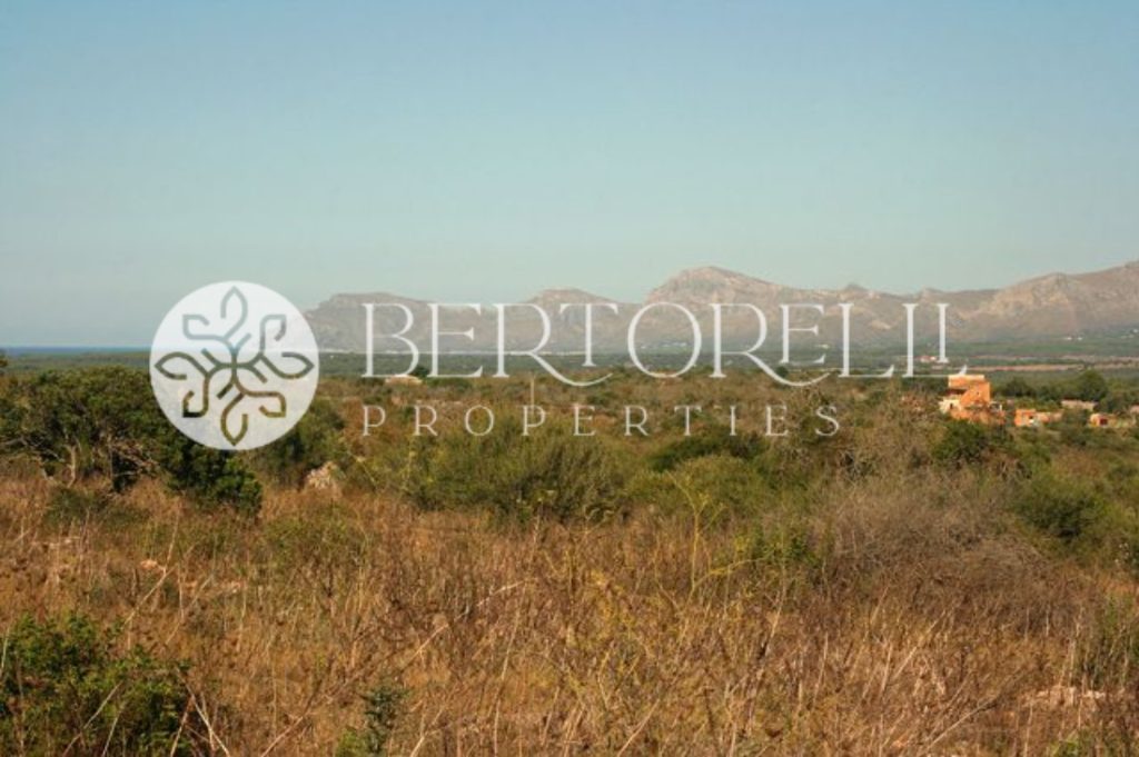 Bertorelli Properties in Mallorca