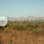 Bertorelli Properties in Mallorca