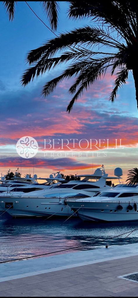 Bertorelli Properties