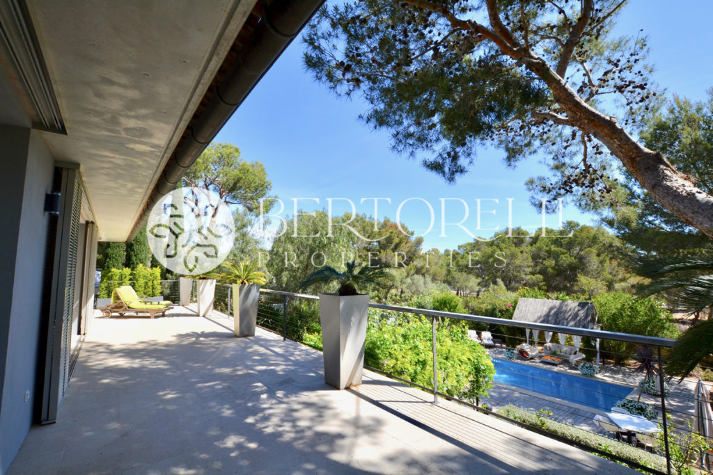 Bertorelli Properties Mallorca