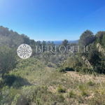 Bertorelli Properties Mallorca