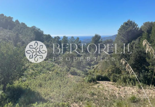 Bertorelli Properties Mallorca