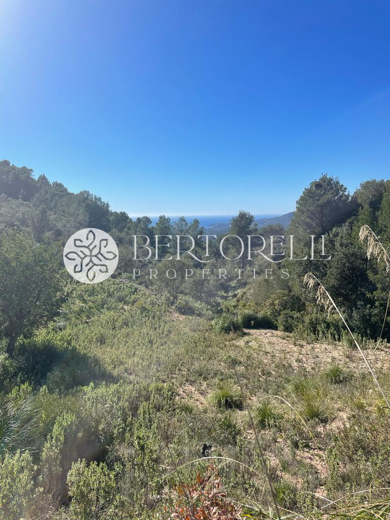 Bertorelli Properties Mallorca