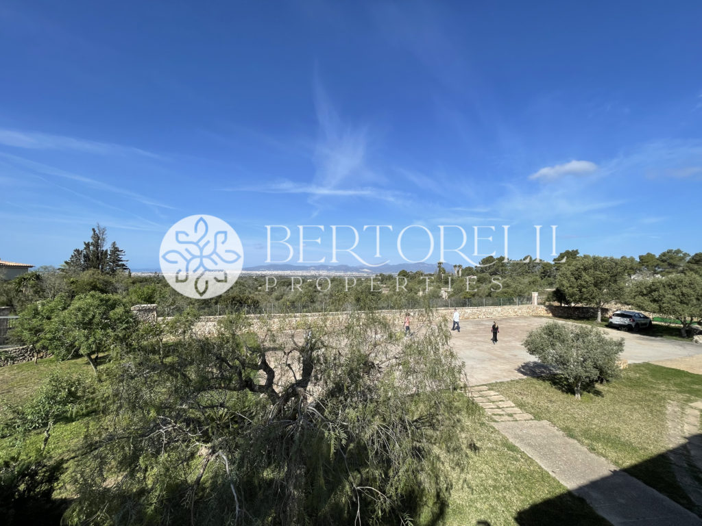 Bertorelli Properties