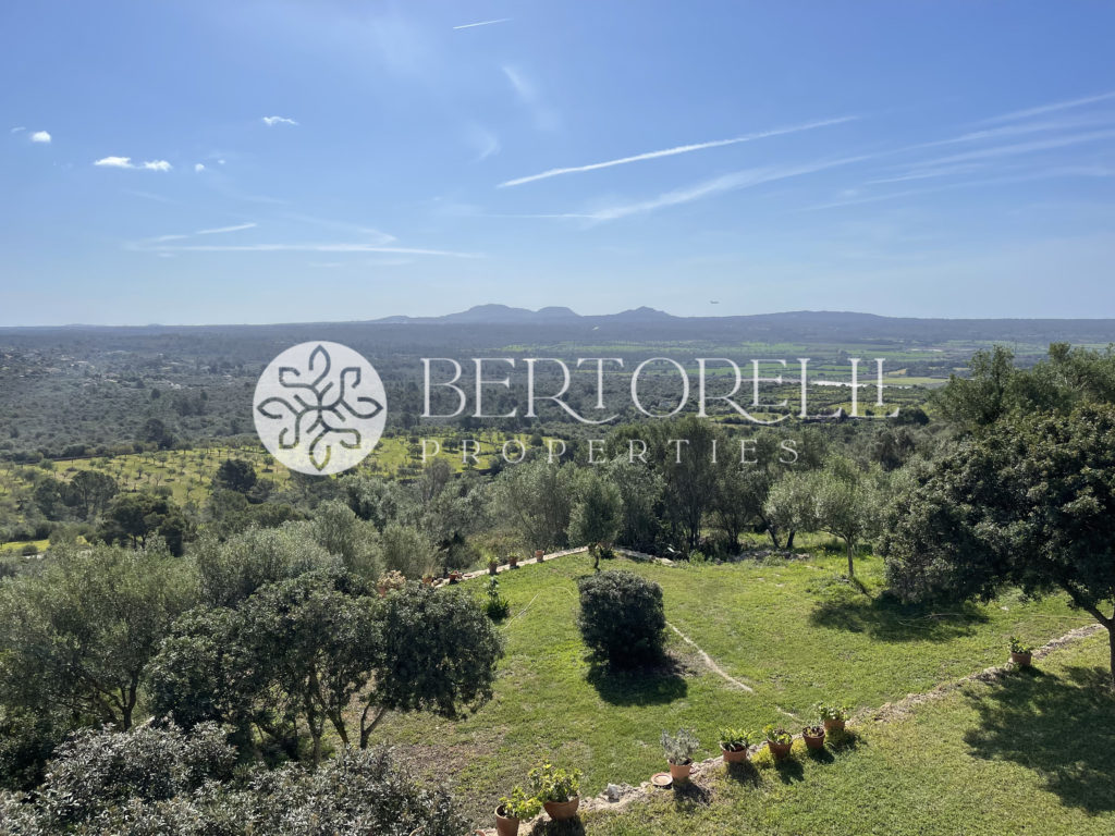 Bertorelli Properties