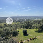 Bertorelli Properties