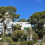 Bertorelli Properties Mallorca