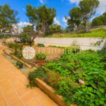 Bertorelli Properties Mallorca