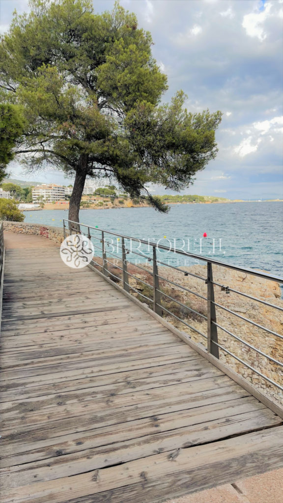 Bertorelli Properties Mallorca