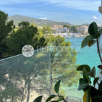 Bertorelli Properties Mallorca