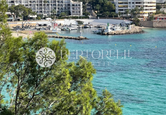 Bertorelli Properties Mallorca