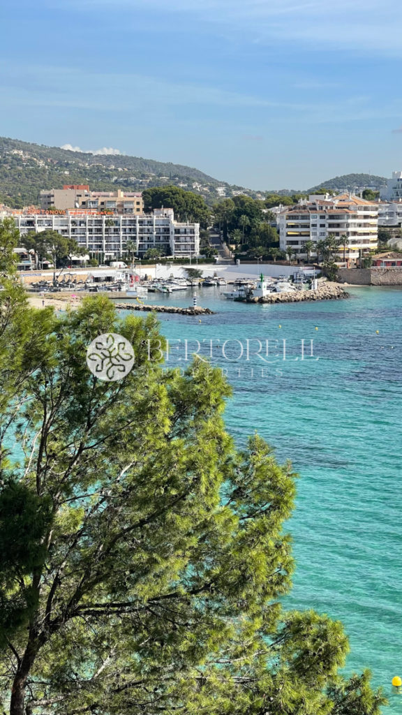 Bertorelli Properties Mallorca