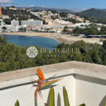 Bertorelli Properties Mallorca