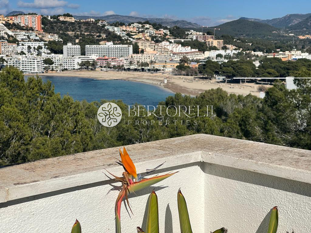 Bertorelli Properties Mallorca