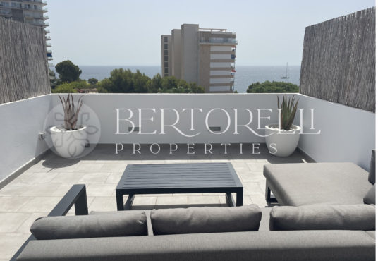 Bertorelli Properties Mallorca